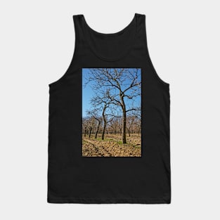Very tall plum trees in an orchard Tank Top